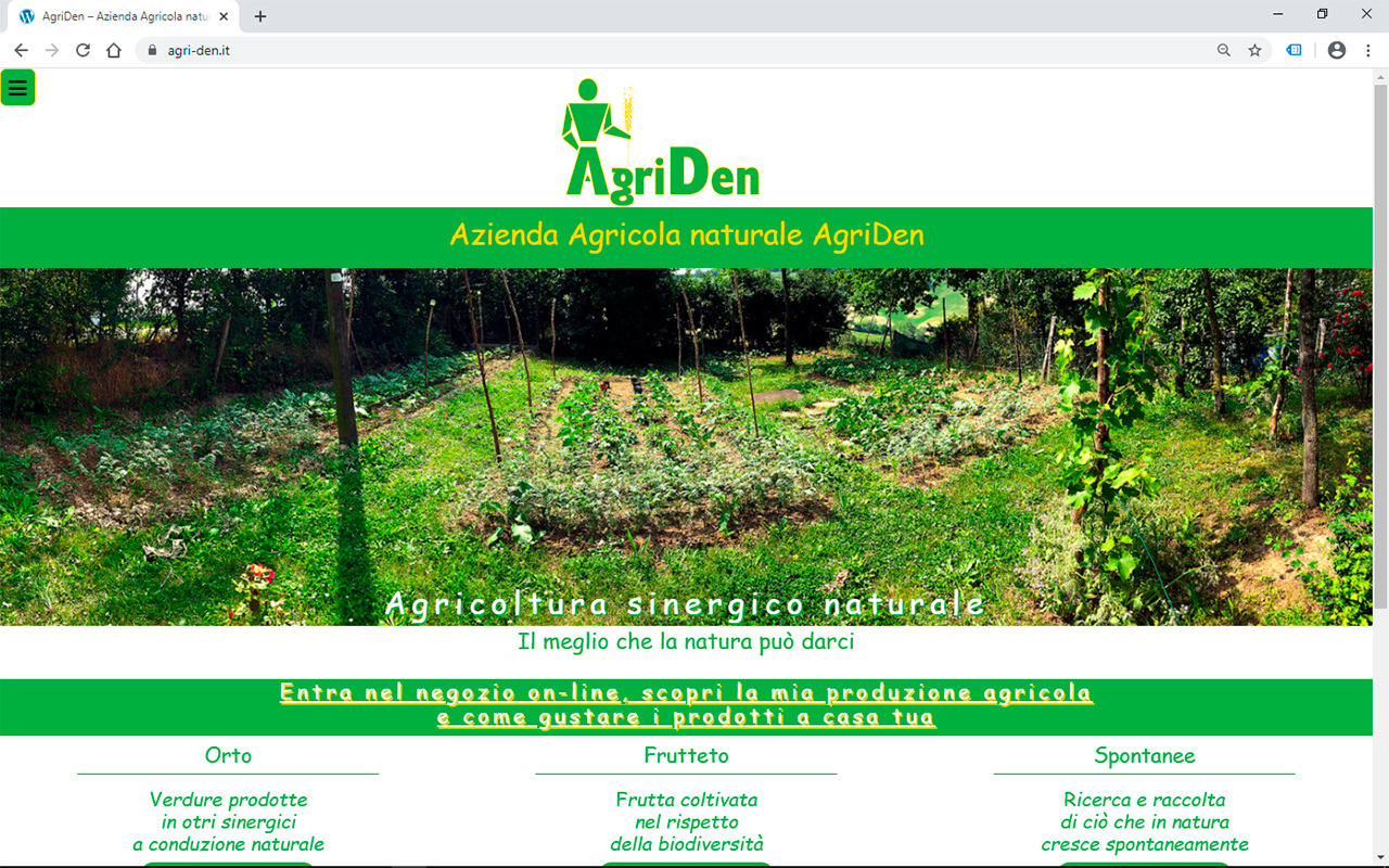 Progettazione e realizzazione sito web azienda Agricola Daniele Neve coltivazioni sinergico-naturali