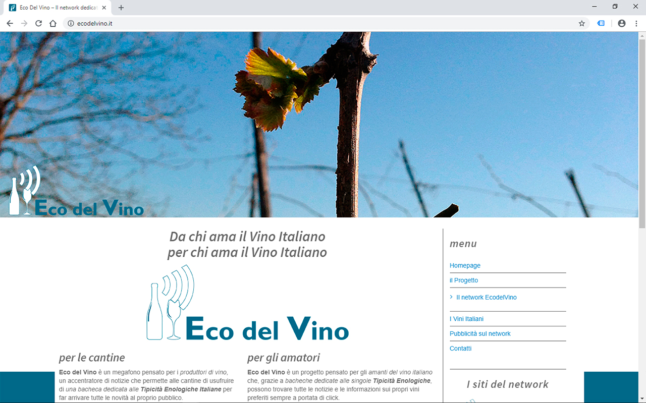 Progettazione e realizzazione network di siti web Eco del Vino